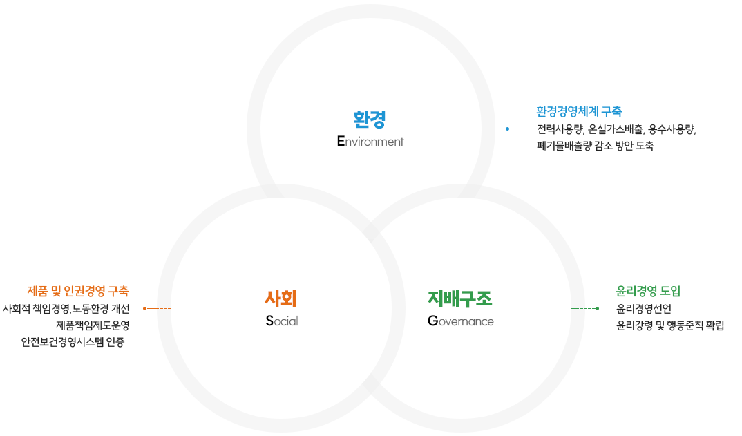 환경(Environment):환경경영체계구축(전력사용량, 온실가스배출, 용수사용량, 폐기물배출량 감소 방안 도출), 사회(Social): 제품 및 인권경영 구축(사회적 책임경영, 노동환경 개선,제품책임제도 운영, 안전보건경영시스템 인증), 지배구조(Governance): 윤리경영 도입(윤리경영 선언, 윤리강령 및 행동준칙 확립)